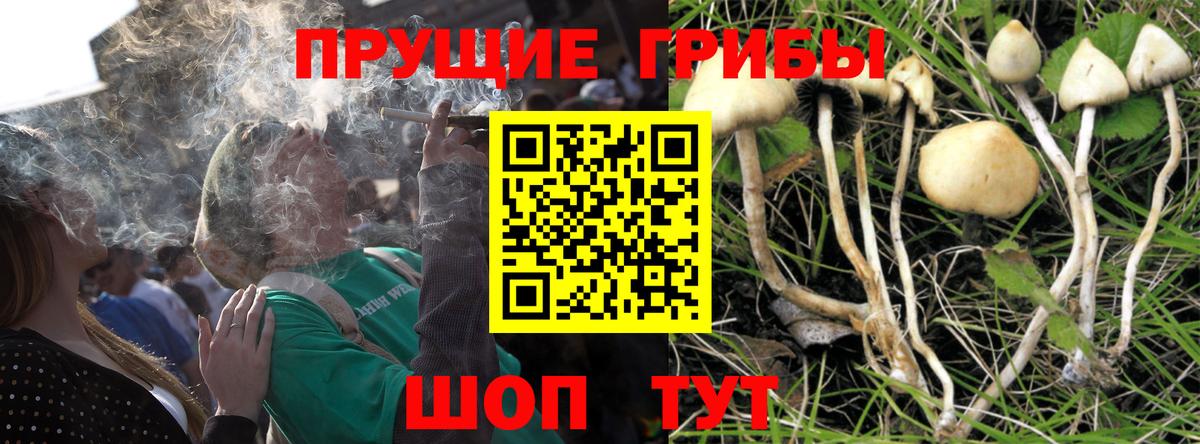 Псилоцибиновые грибы прущие грибы Мариинск