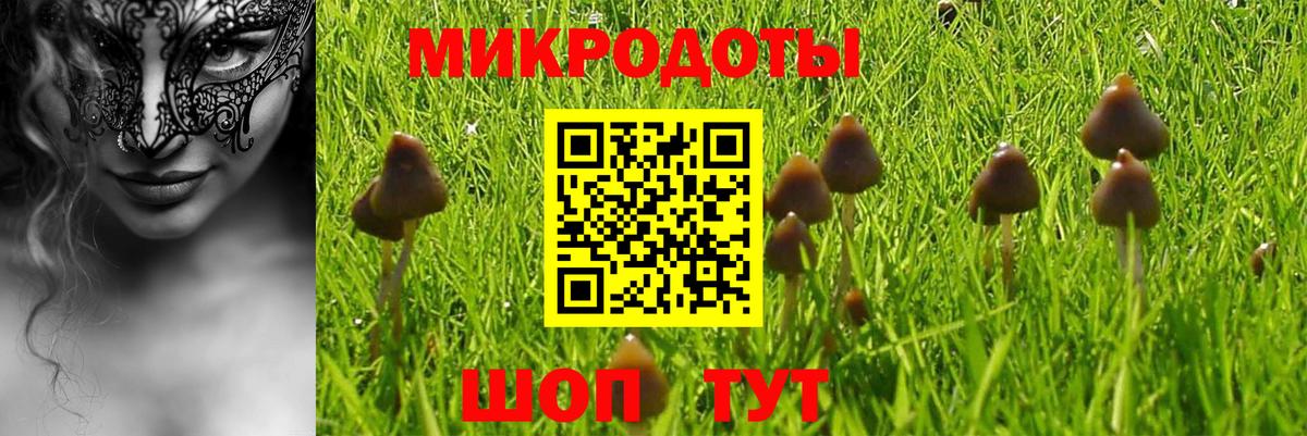 где купить   Псилоцибиновые грибы ЛСД  Вход с VPN  Мариинск  Псилоцибиновые грибы Psilocybe 