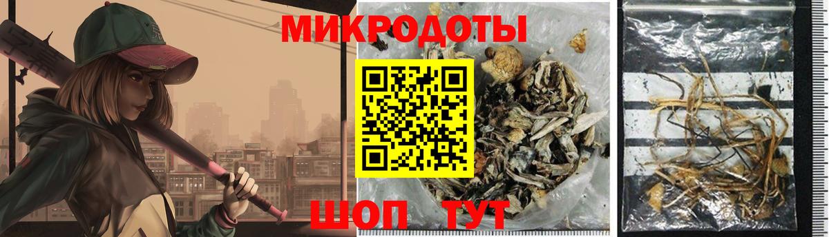 Псилоцибиновые грибы Мариинск